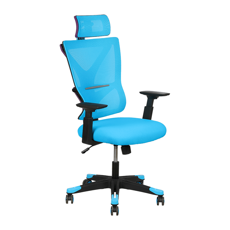 Blue Comfortable Narrow Waist Design Aesthetics Mesh Chair With Double Y-Shaped