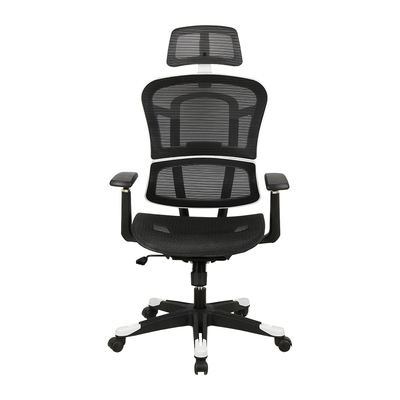 Detachable Lumbar Back Separation Office Chair Strong Lumbar Support Mesh Chair With White Frame