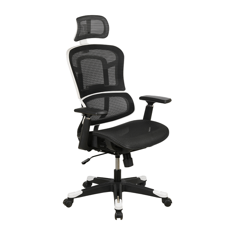 Detachable Lumbar Back Separation Office Chair Strong Lumbar Support Mesh Chair With White Frame