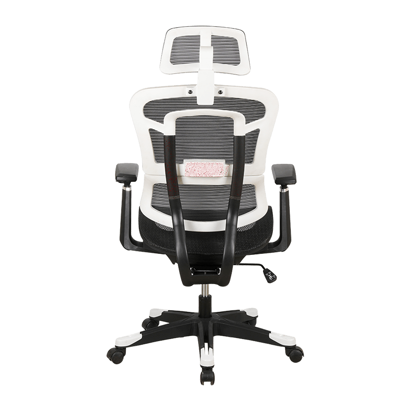 Detachable Lumbar Back Separation Office Chair Strong Lumbar Support Mesh Chair With White Frame